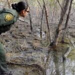 La fibra óptica ha sido probada con éxito en tramos de unos 50 kilómetros