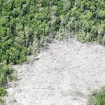 Imagen aérea del Amazonas, donde se aprecia su deterioro, uno de los aspectos que denunció Casement