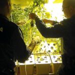 En el sótano de la vivienda los detenidos tenían 64 plantas de marihuana y multitud de aparatos para su cultivo