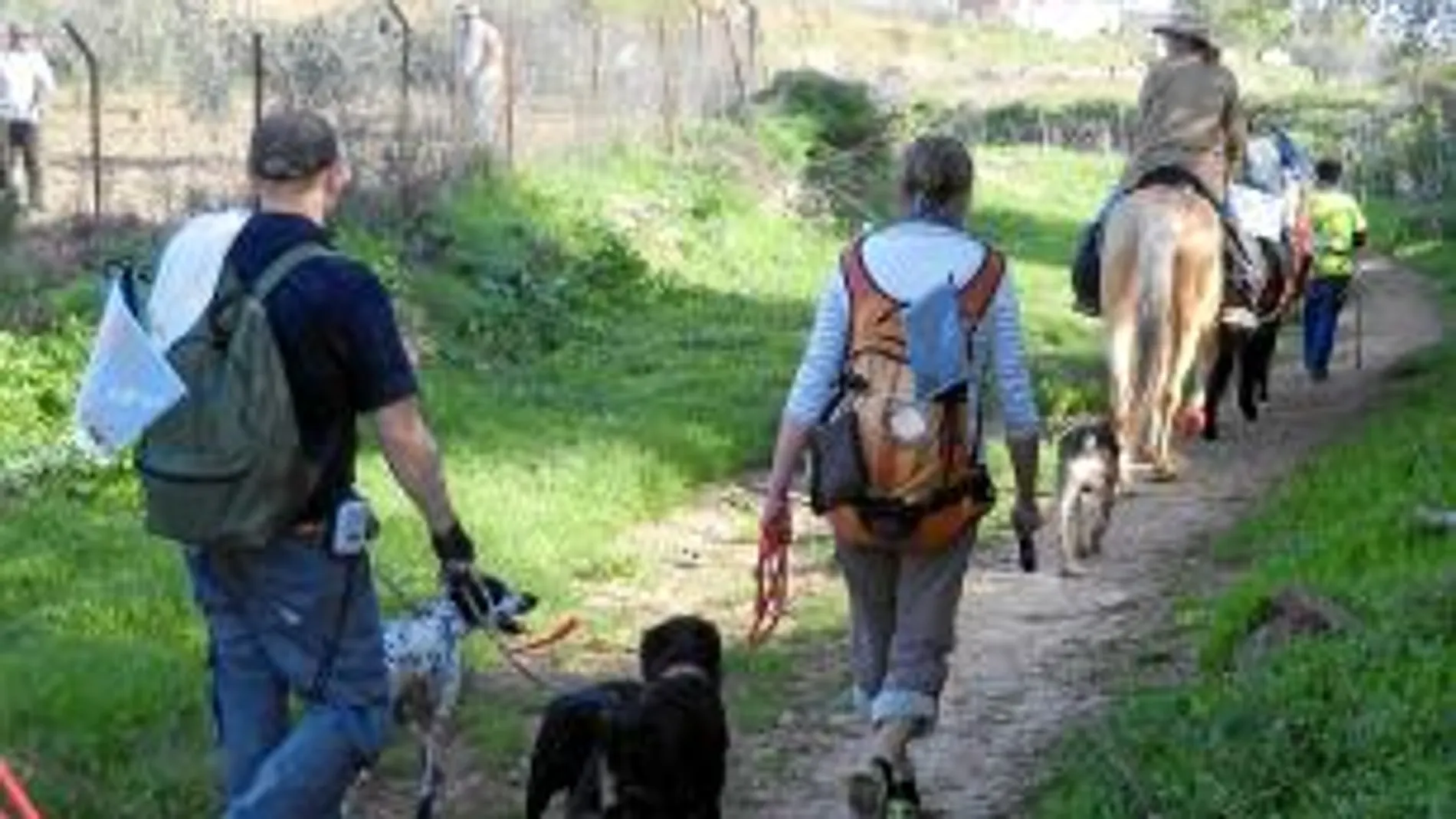 A pesar de las dificultades que se han encontrado, los animales y sus dueños están dispuestos a llegar juntos a Compostela
