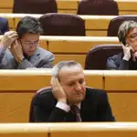 Los intérpretes del Senado cobran 515 euros al díay pedirán un aumento