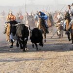 Cientos de personas persiguieron y lancearon al toro hasta acabar con su vida