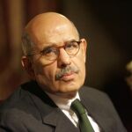 ElBaradei, en su regreso a Egipto: es el momento de que Mubarak «se jubile»