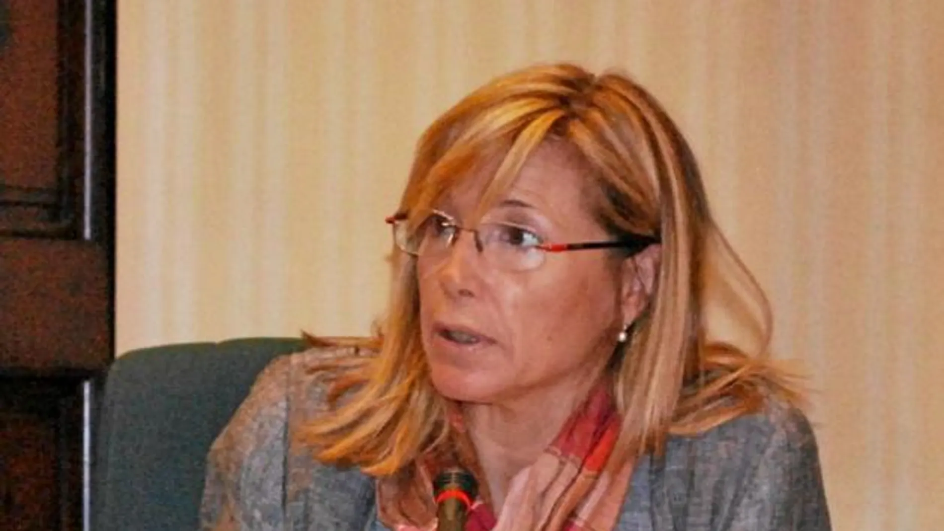 La vicepresidenta Joana Ortega