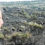 Un esquizofrénico sospechoso de causar el mayor incendio del verano