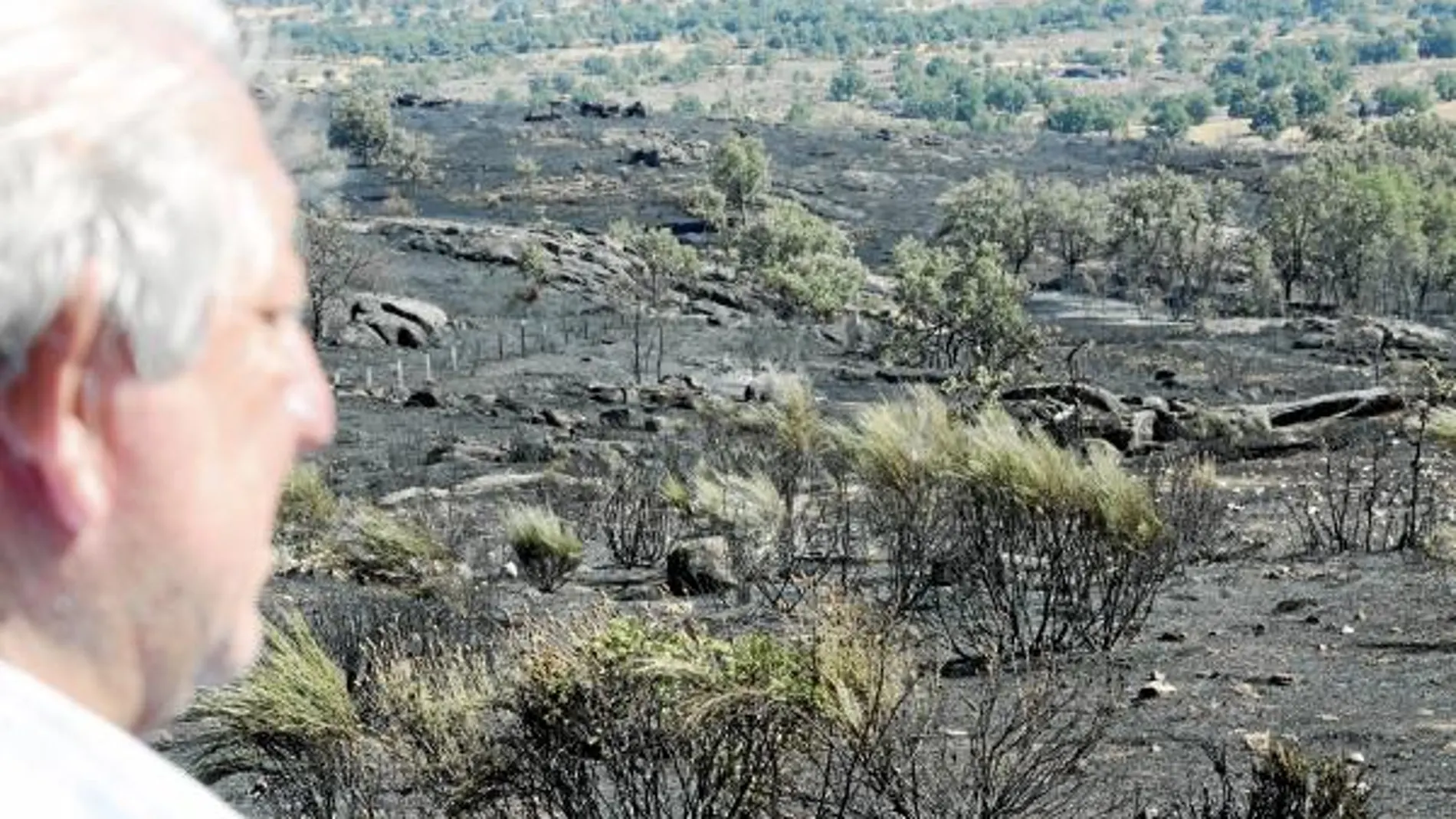 Un esquizofrénico sospechoso de causar el mayor incendio del verano