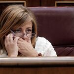 Elena Valenciano, coordinadora electoral del PSOE, en el Congreso