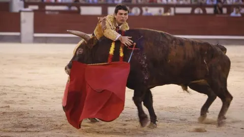Casares, herido en el muslo