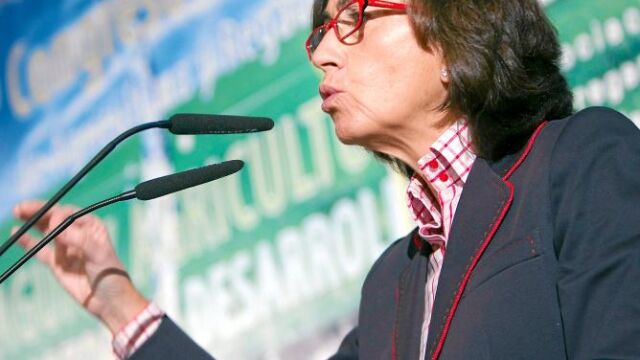 La ministra de Medio Ambiente y Medio Rural y Marino, Rosa Aguilar, ayer en Sevilla