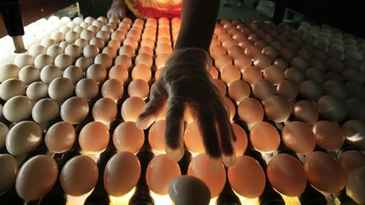 Con dos huevos: consumir un par por día no tendría efectos adversos en el colesterol