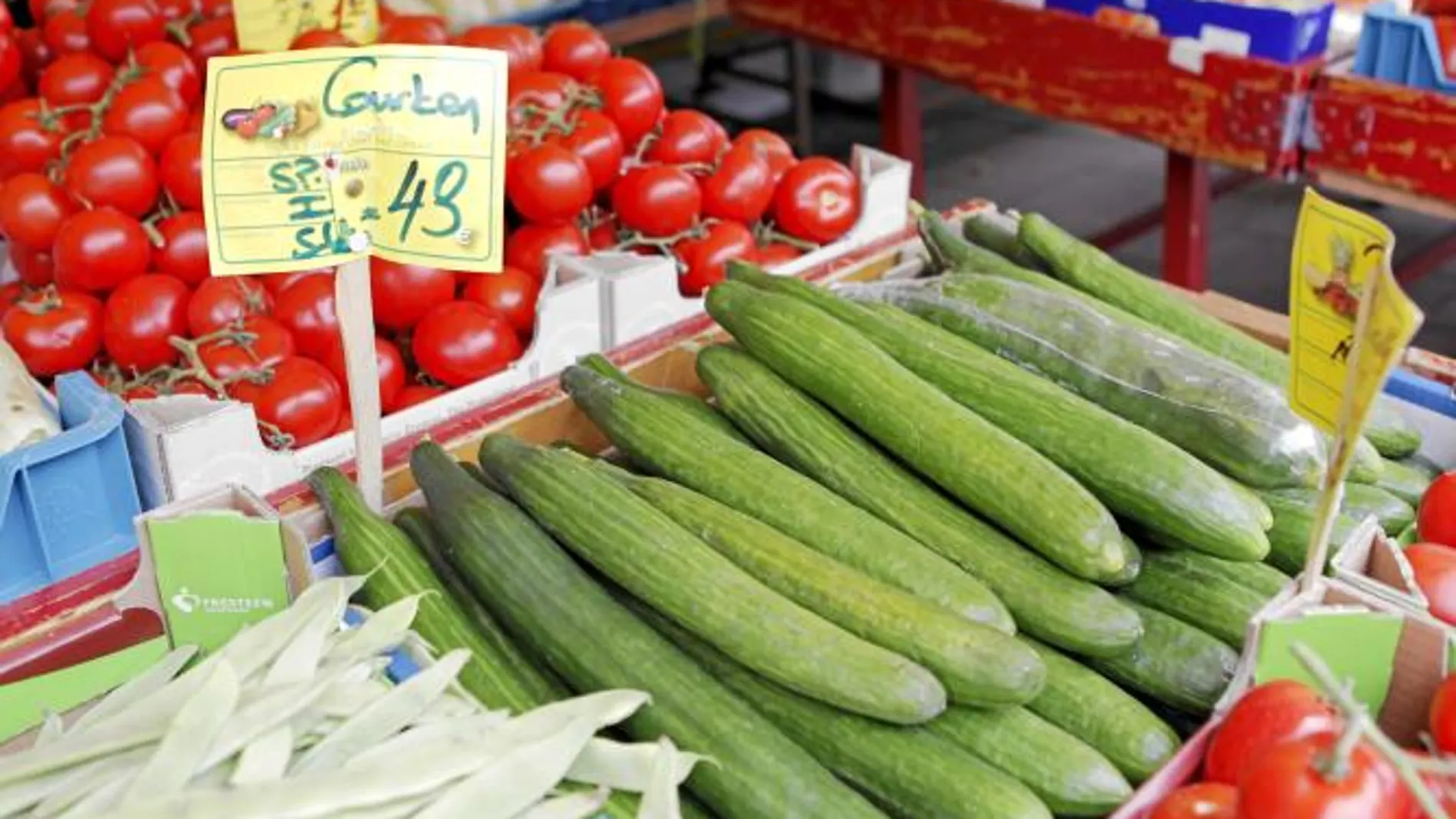 Imagen de pepinos españoles a la venta en un mercado alemán