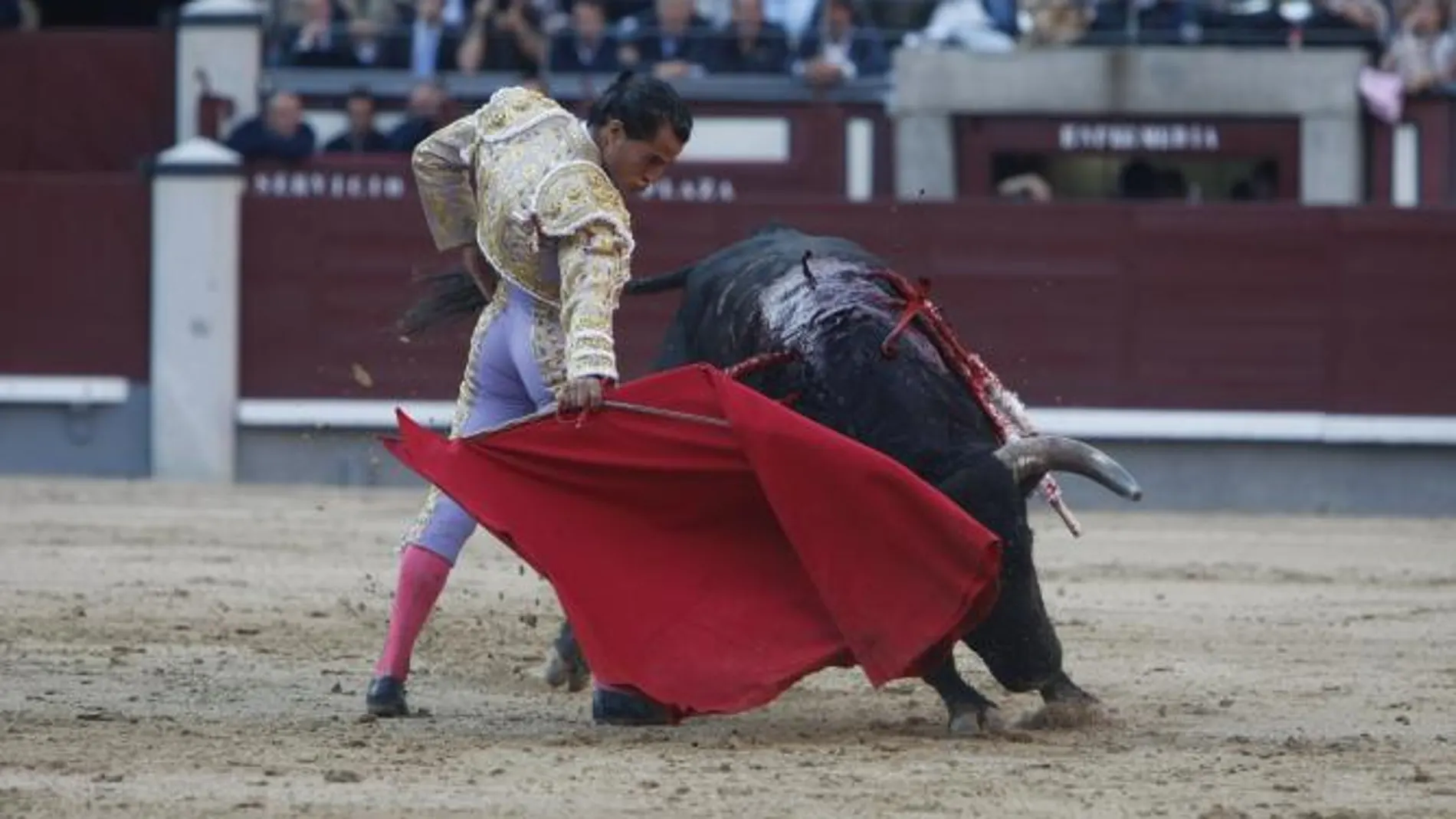 El torero de Orduña pega un derechazo a uno de sus reses de Cuadri