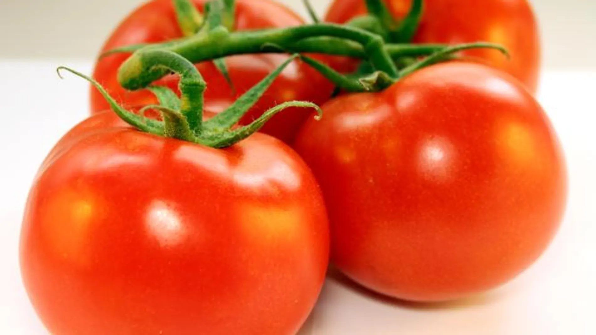 Identifican un potente antioxidante de origen natural en plantas de tomate