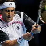  Ferrer ante Federer: «Tengo una mínima oportunidad»