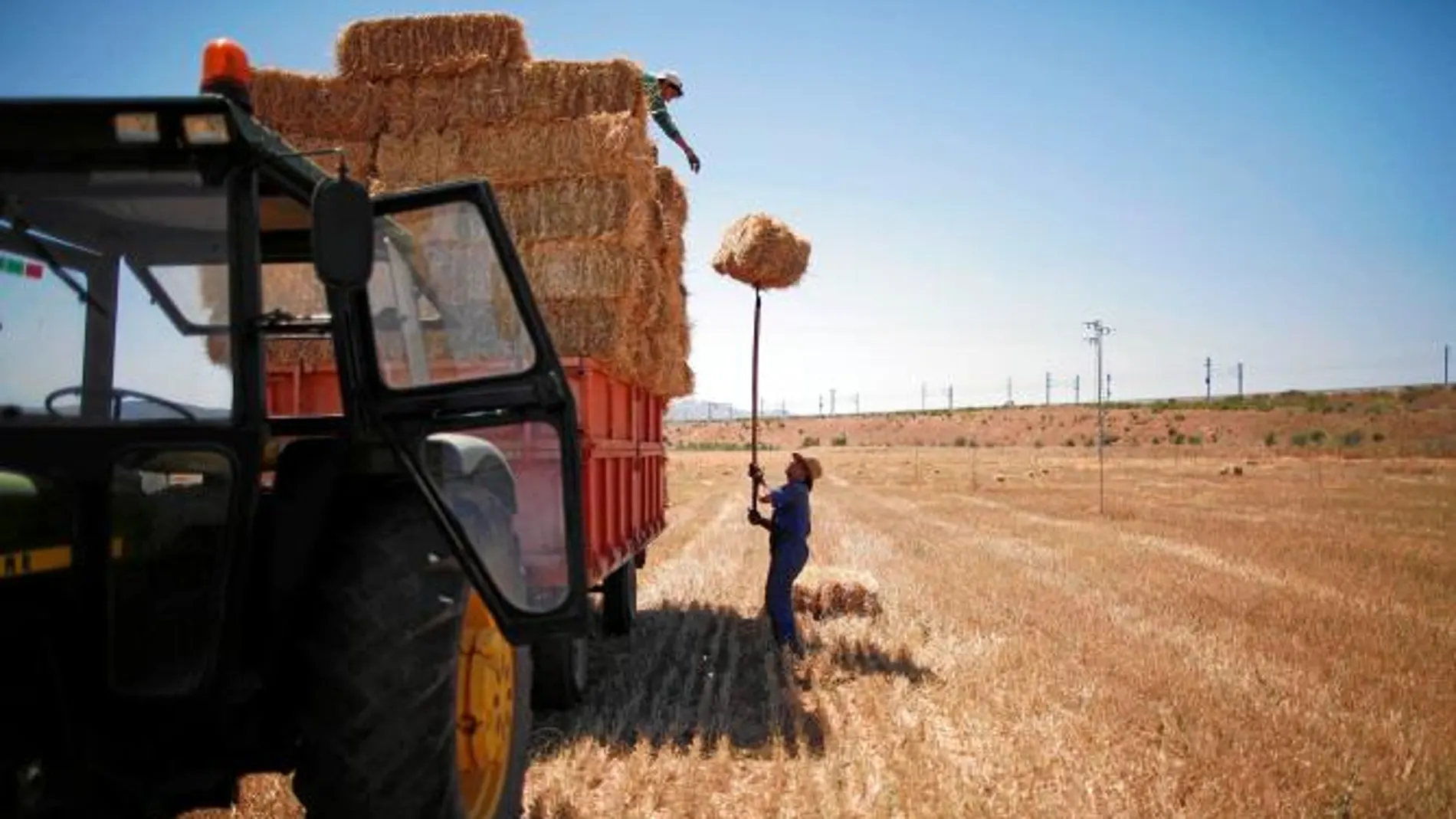 El sector agrícola y ganadero experimentó un descenso de casi trescientos parados respecto a junio