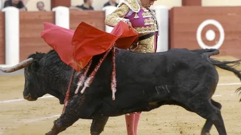 Leandro ejecuta una manoletina a pies juntos, ayer, en Valladolid