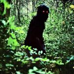 «Uncle Boonmee recuerda sus vidas pasadas»