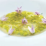 Caviar vegetal: «Delicia gourmet» de vida efímera