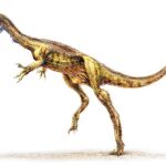 «Bisabuelo» Tyrannosaurus
