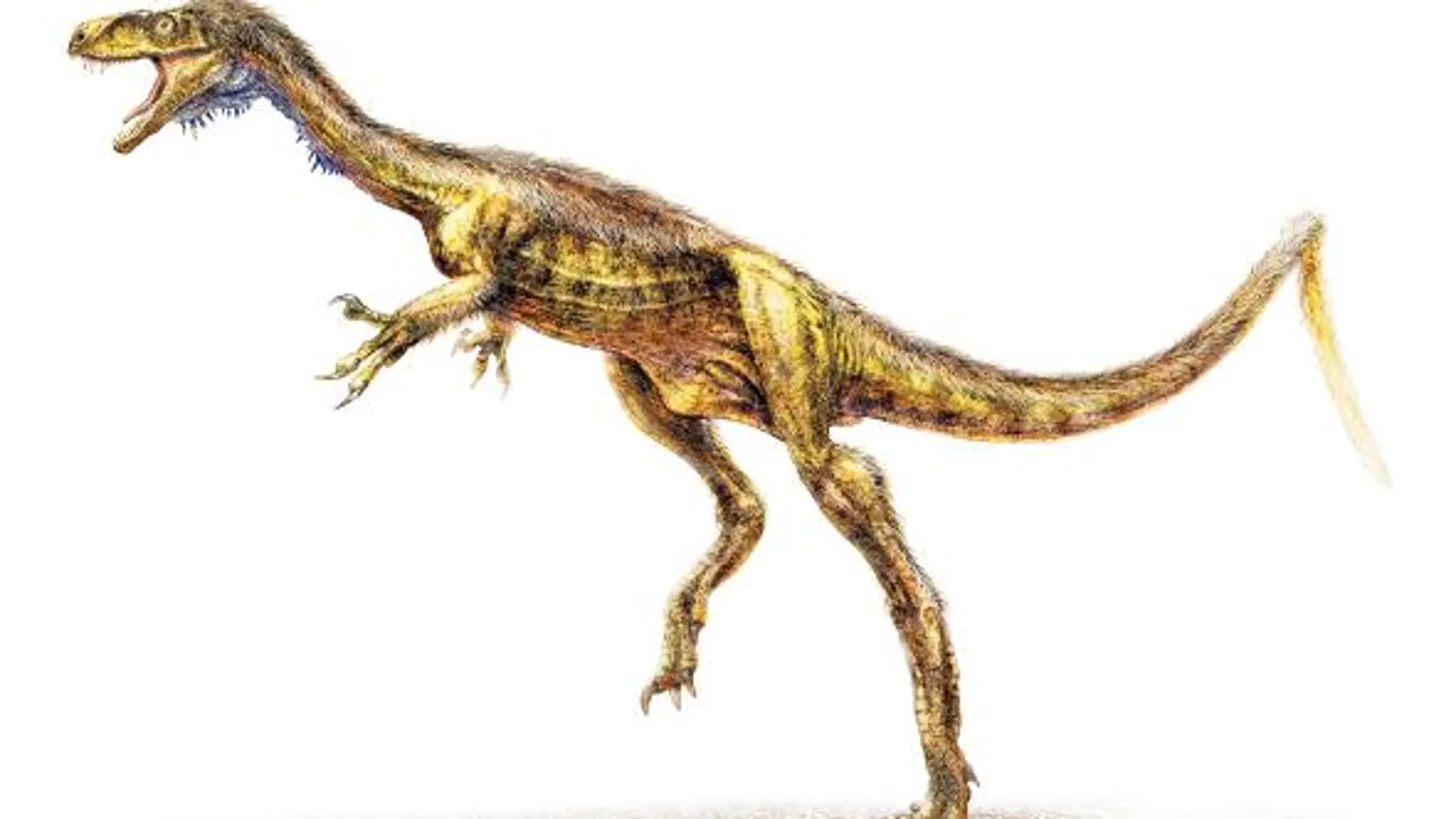 «Bisabuelo» Tyrannosaurus