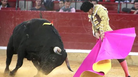 El torero David Mora recibe con el capote a su primer astado durante el festejo con motivo de la Feria del Pilar
