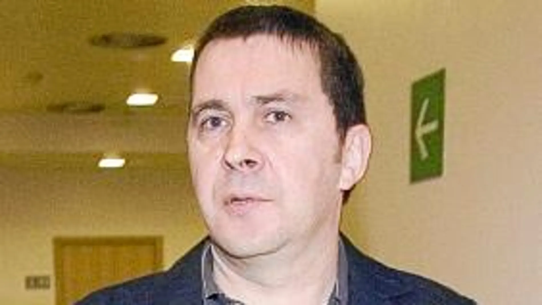 Arnaldo Otegi ha vuelto a pedir que se le conceda salir en libertad provisional.