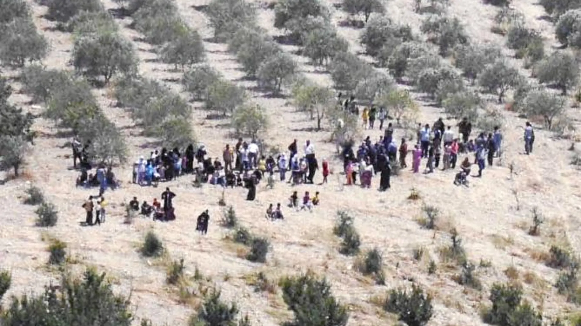 Un grupo de sirios cerca del pueblo fronterizo de Guvecci, en la provincia de Hatay, espera para poder entrar en Turquía