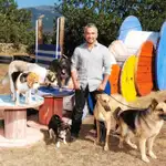 César Millán se convierte en la esperanza de los perros abandonados