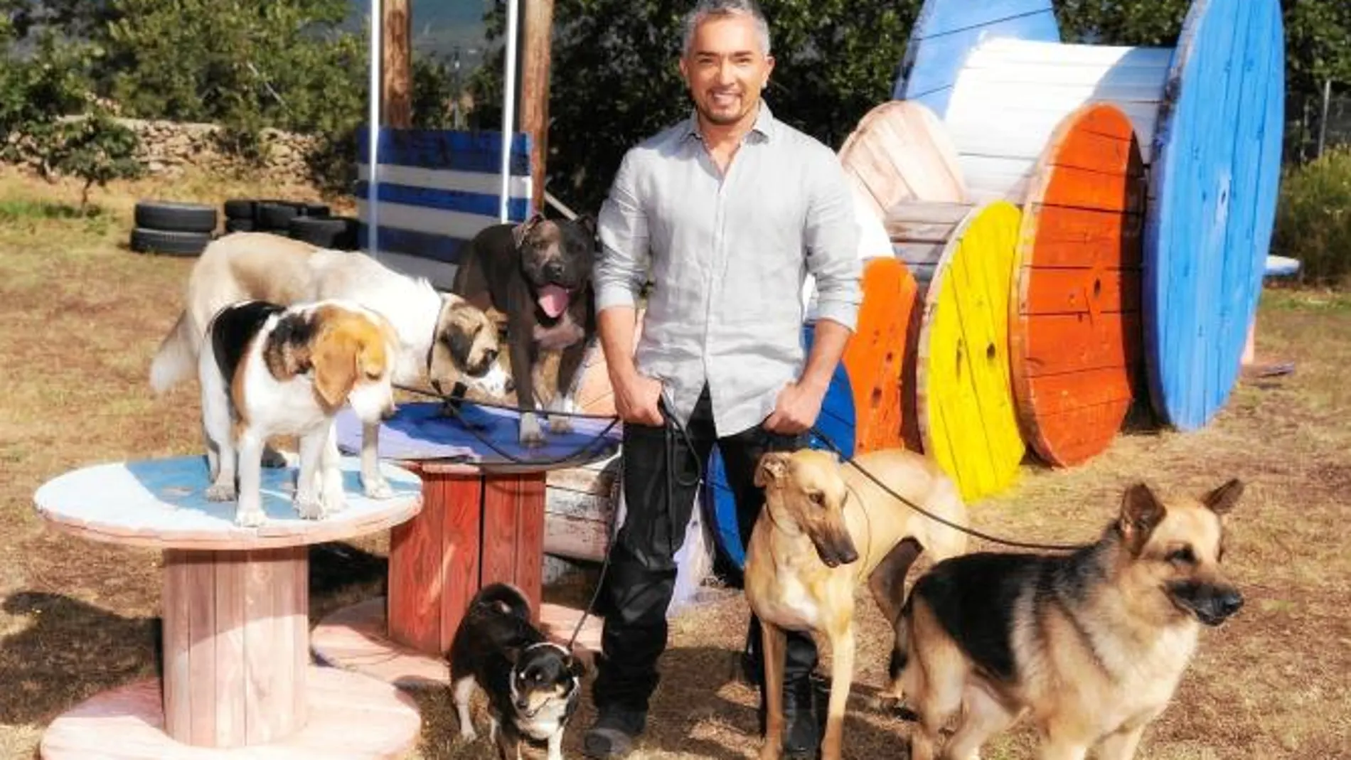 César Millán se convierte en la esperanza de los perros abandonados