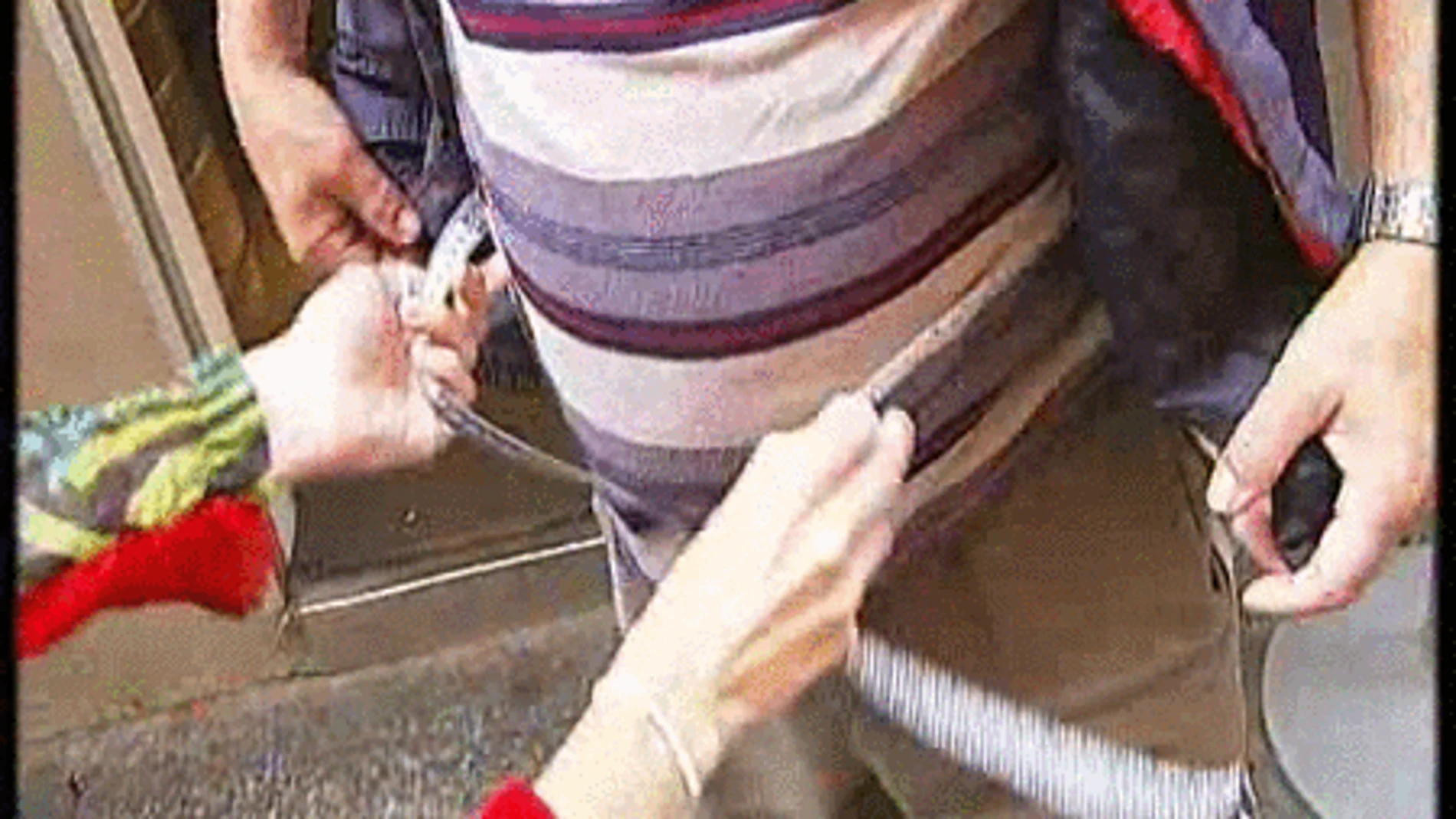 barriga