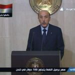 El vicepresidente egipcio comienza el diálogo con los partidos políticos