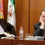 El consejero de Empleo, Manuel Recio, (derecha), ayer en la comisión parlamentaria