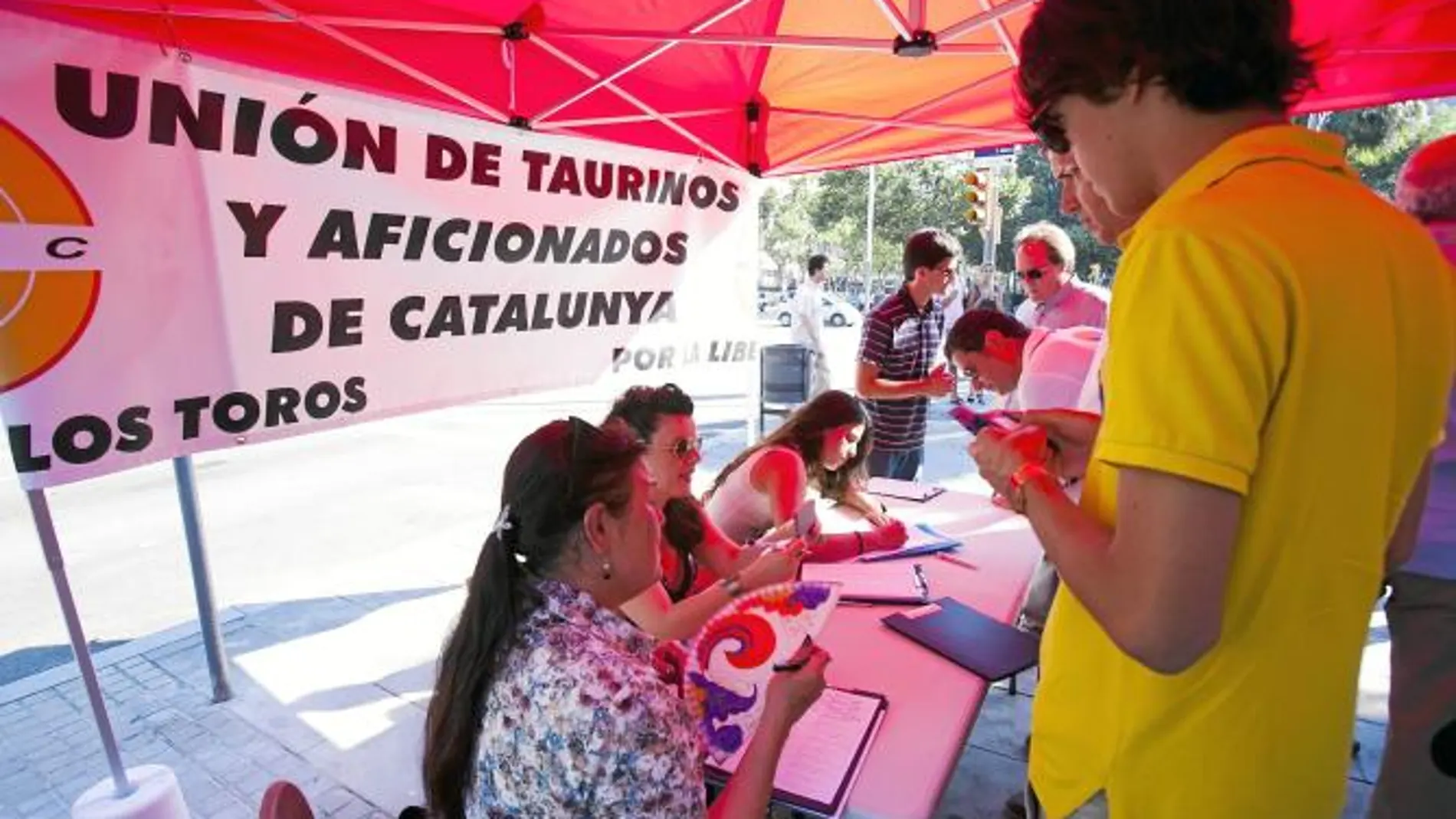El Congreso ha concedido una prórroga de tres meses para la recogida de firmas