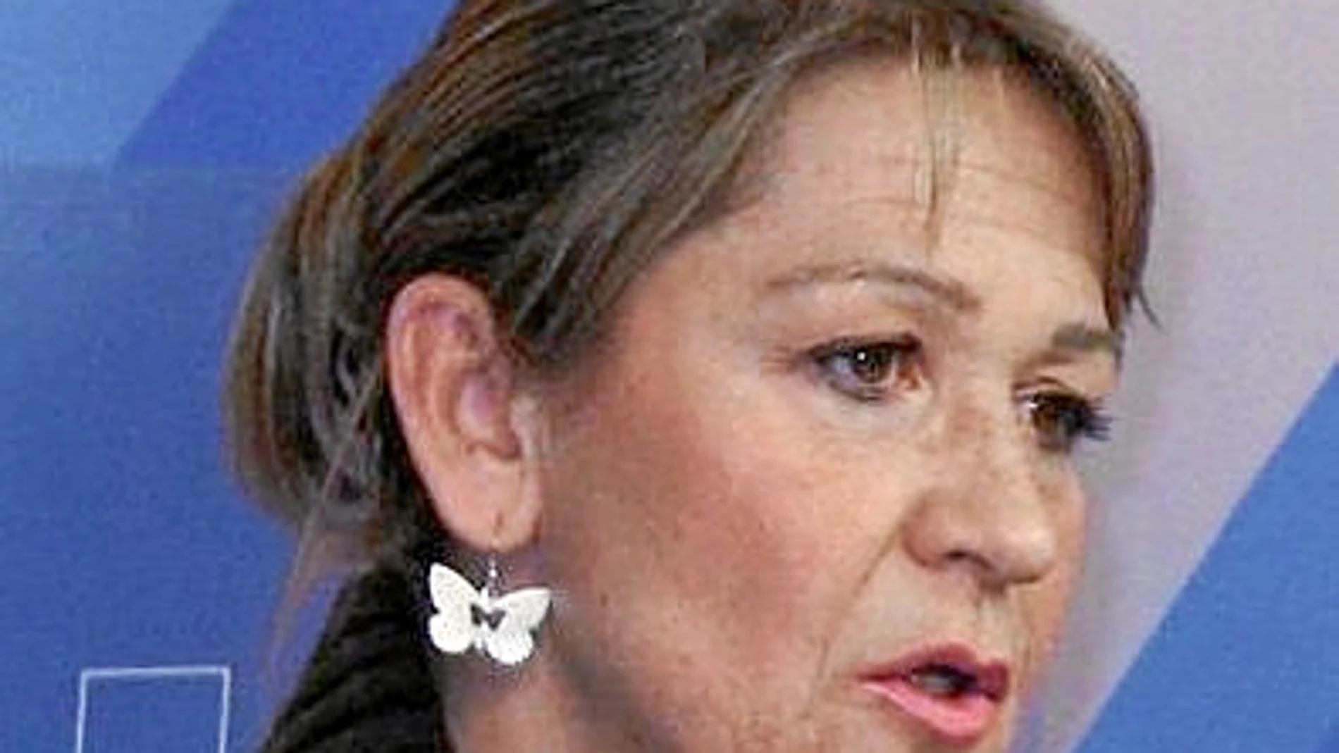 La eurodiputada valenciana Inmaculada Rodríguez- Piñero