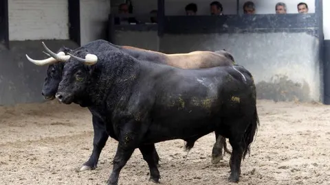 El viaje más esperado de «Supervisor»