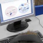 Al certamen se han presentado un total de 18 proyectos