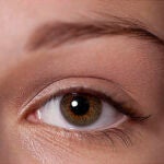 Japón «produce» los primeros ojos embrionarios con células madre
