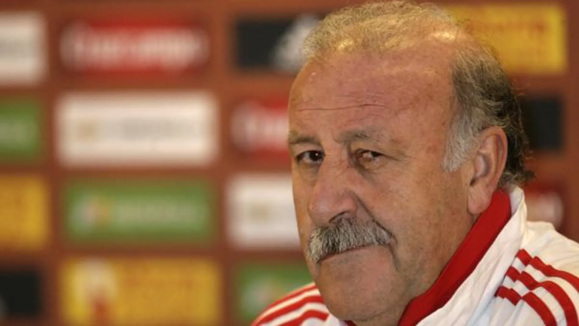 Del Bosque: «El campo no está en condiciones para jugar al fútbol»