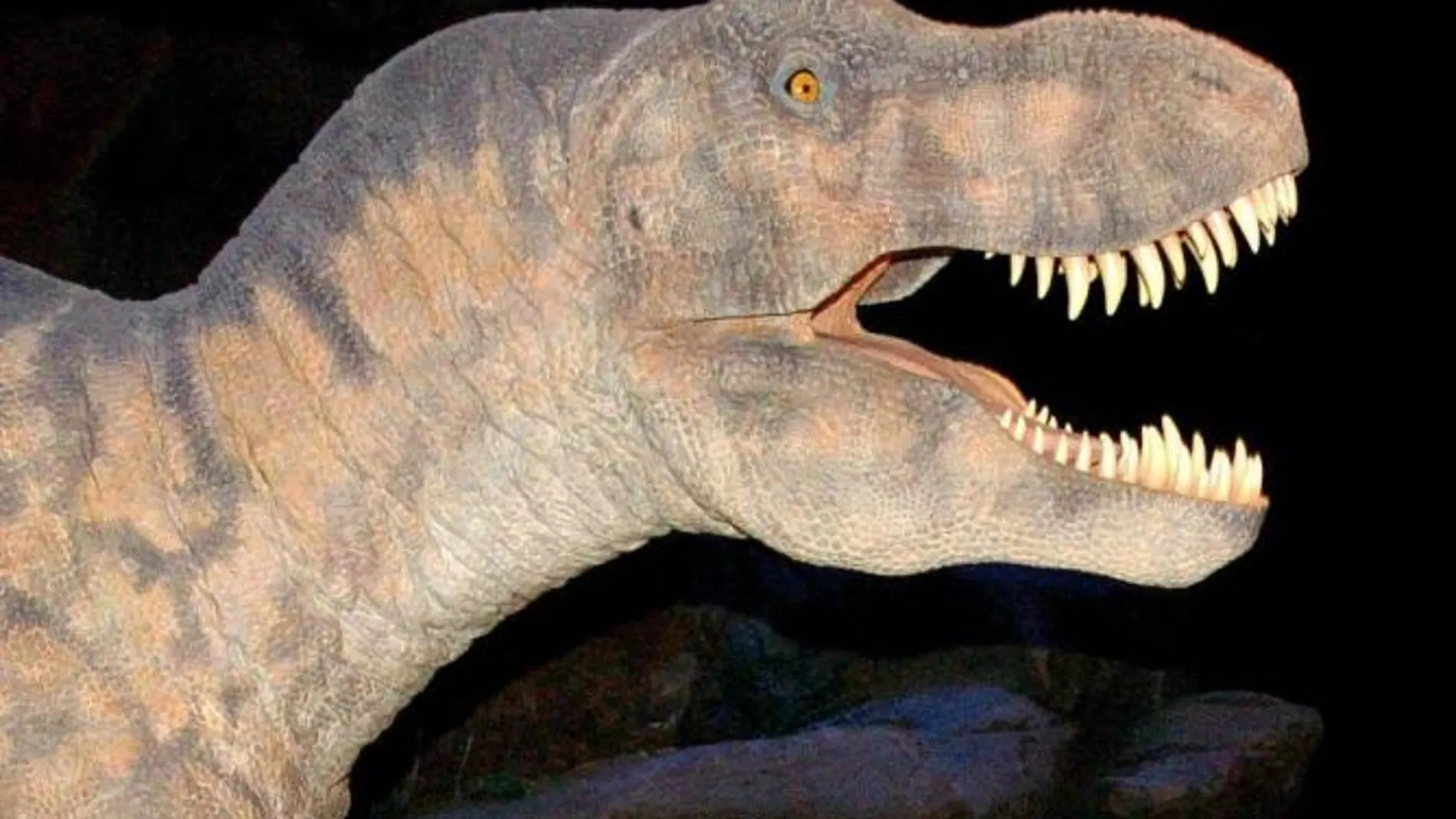 El mordisco más potente el del tiranosaurio rex