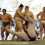 Un torneo de sumo
