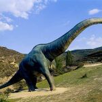 Imagen de un cuellilargo
