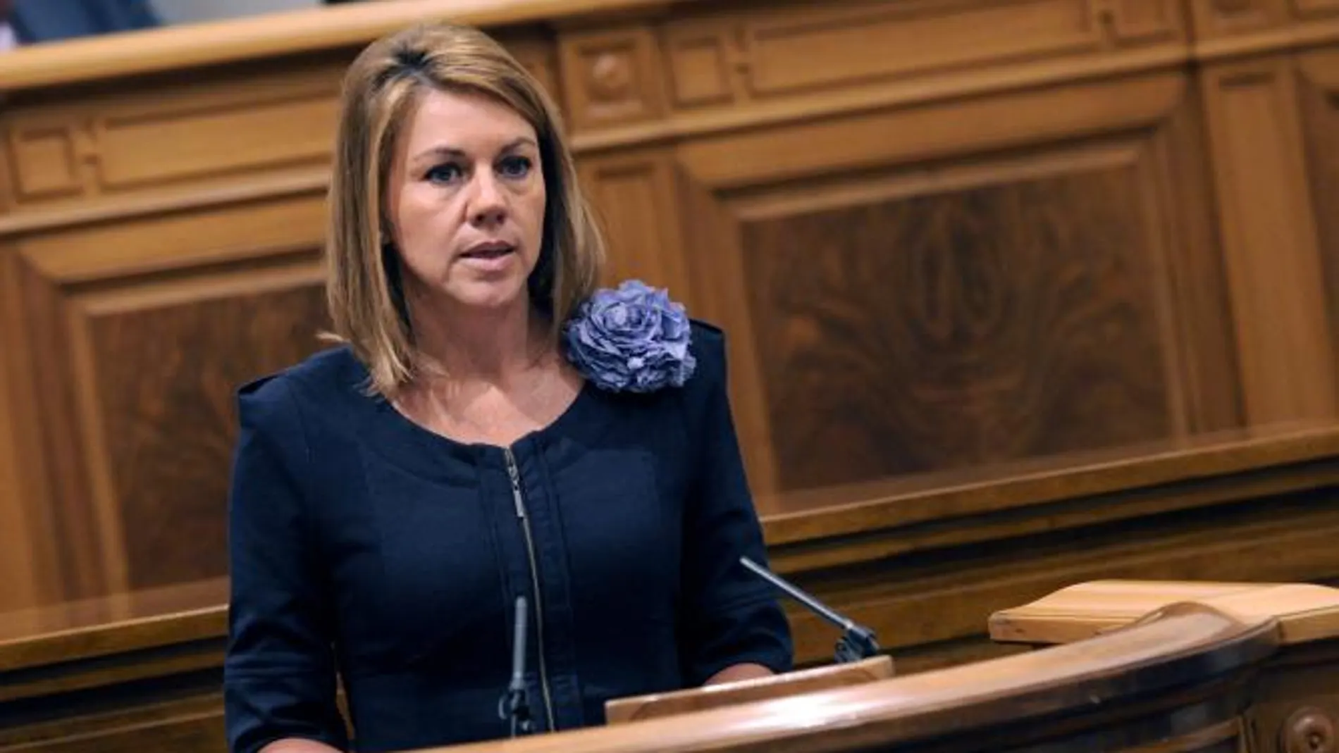 «Los toros aportan 300 millones de euros al año en Castilla-La Mancha»