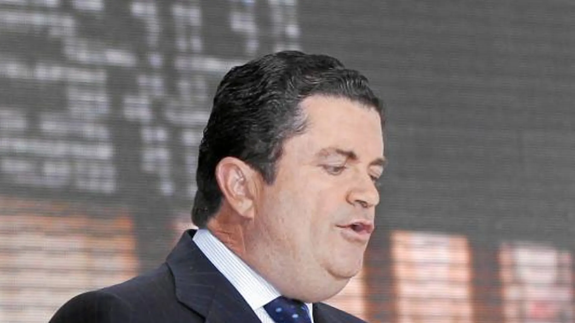Endesa pide menos ajustes para el sector