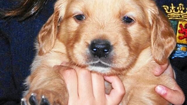 La Razón Solidaria: Wiki ganadora de la semana