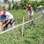 Crecen los autónomos en Baleares Andalucía y Murcia durante el primer semestre del año