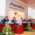El 96 por ciento de los asamblearios reunidos en sesión extraordinaria aprobaron el proyecto de integración