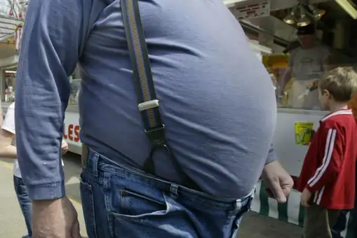 La renta, el peso de los padres y la comunidad de residencia lastran la obesidad infantil
