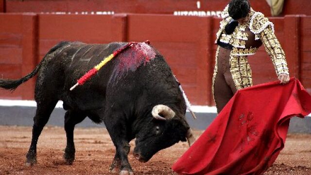 Figuras y toreros charros a una tarde protagonistas en Salamanca