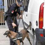 Una agente de la Policía Nacional con el perro que descubrió dónde escondían el dinero los miembros de la mafia china