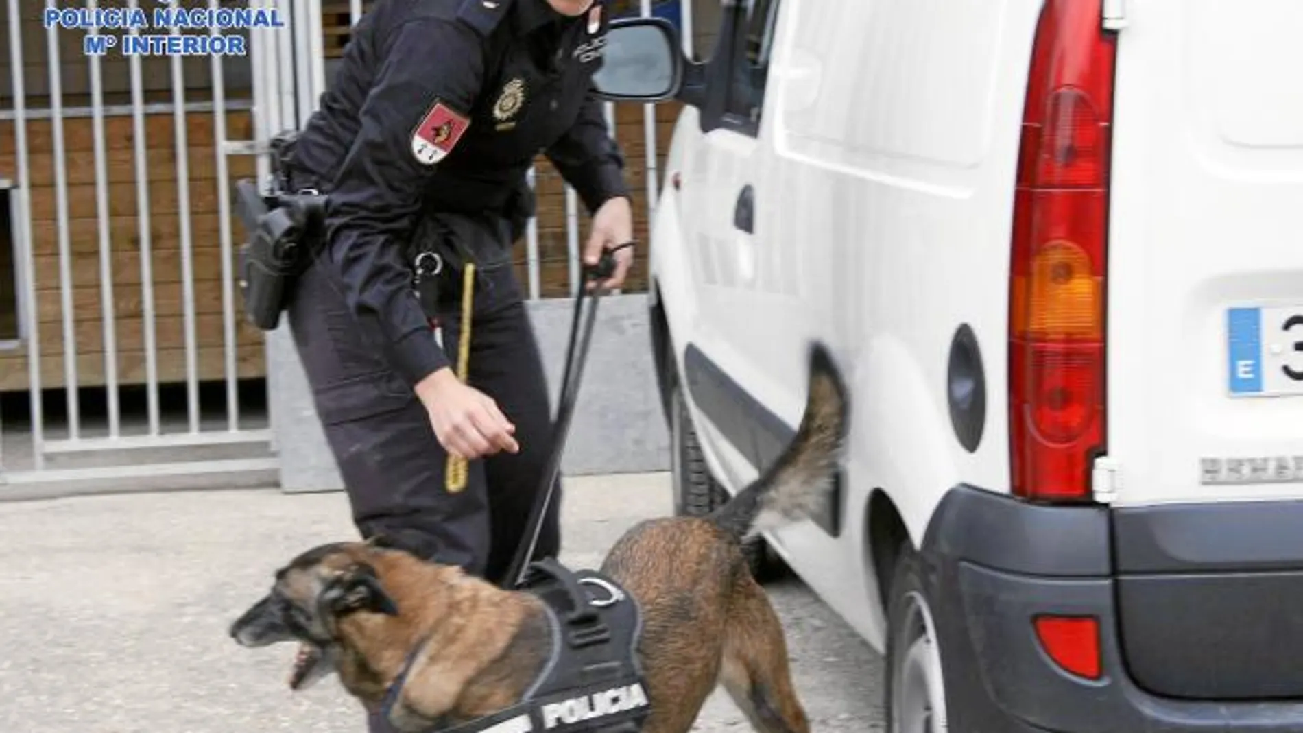 Una agente de la Policía Nacional con el perro que descubrió dónde escondían el dinero los miembros de la mafia china